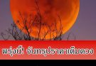 พรุ่งนี้! จันทรุปราคาเต็มดวง พระจันทร์สีแดงและปีม้าไฟ ในคืนวันที่ 3 มี.ค. 69